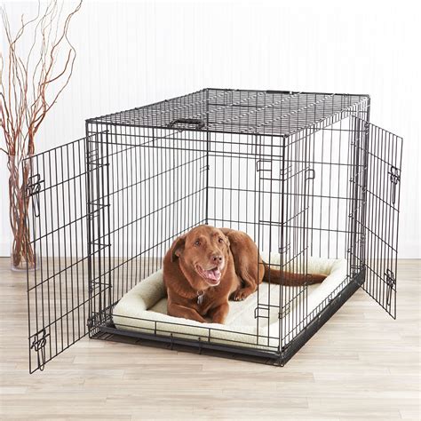 large indoor dog kennels